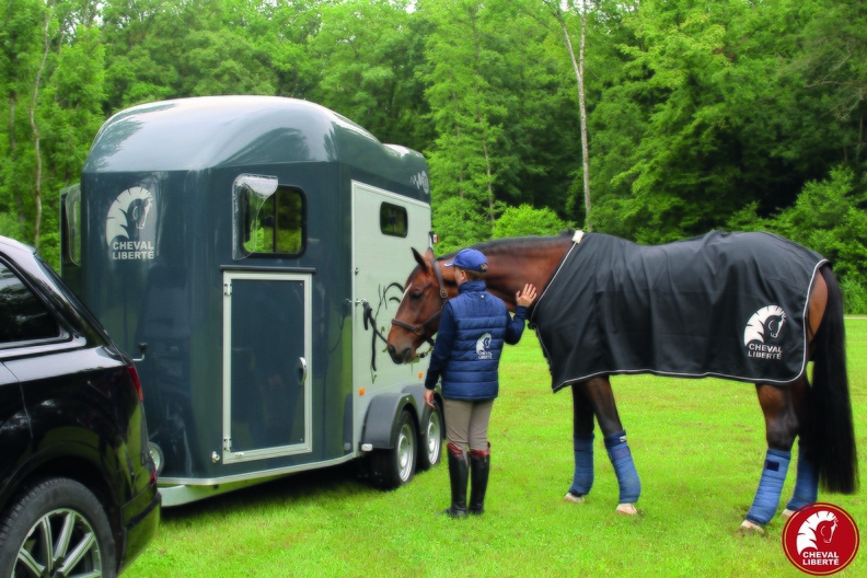 GOLD 3 - HIPPODROME - TROIS QUART AVANT - ATTELE - PAUL + CHEVAL ATTACHE VAN