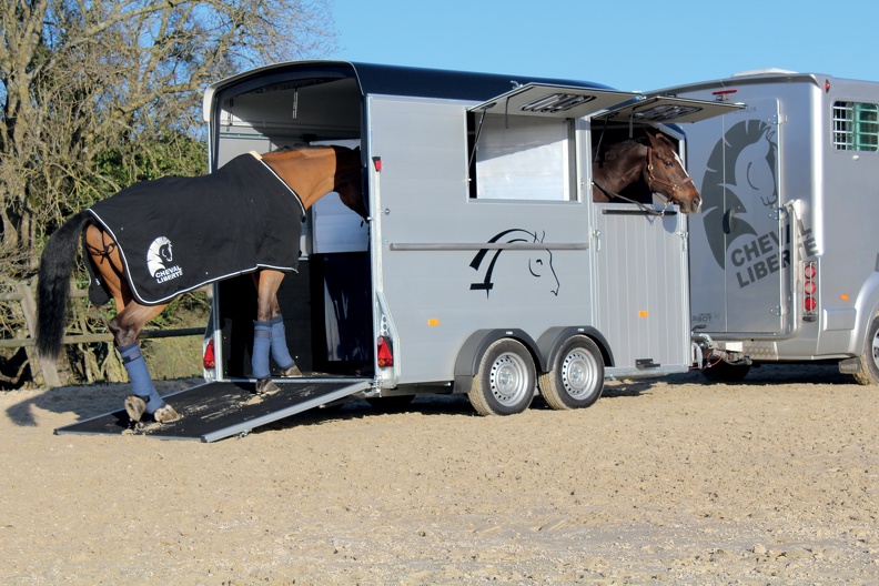 20200831 - MAXI2 attelé + chevaux_1.jpg