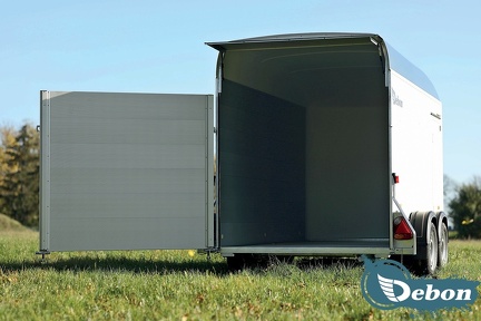 20201120 - ROADSTER 500 - GRIS - ARRIERE - PONT PORTE OUVERT - POLOGNE - 01